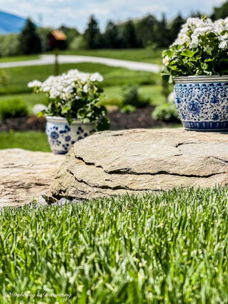 Stone steps in the lawn with geranium arrangements