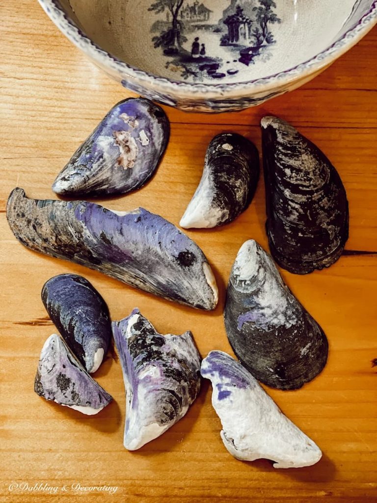 Blue Mussels and Vintage Coastal Bowl on Counter top.