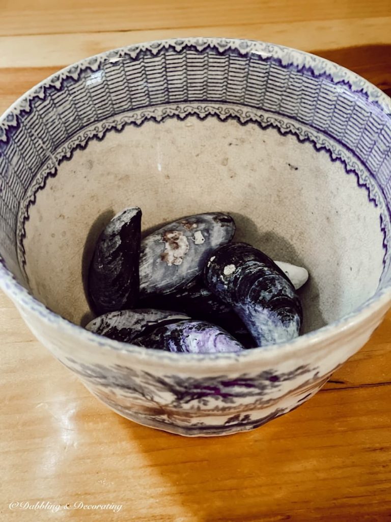 Blue Mussel Shells in vintage coastal blue and white bowl.