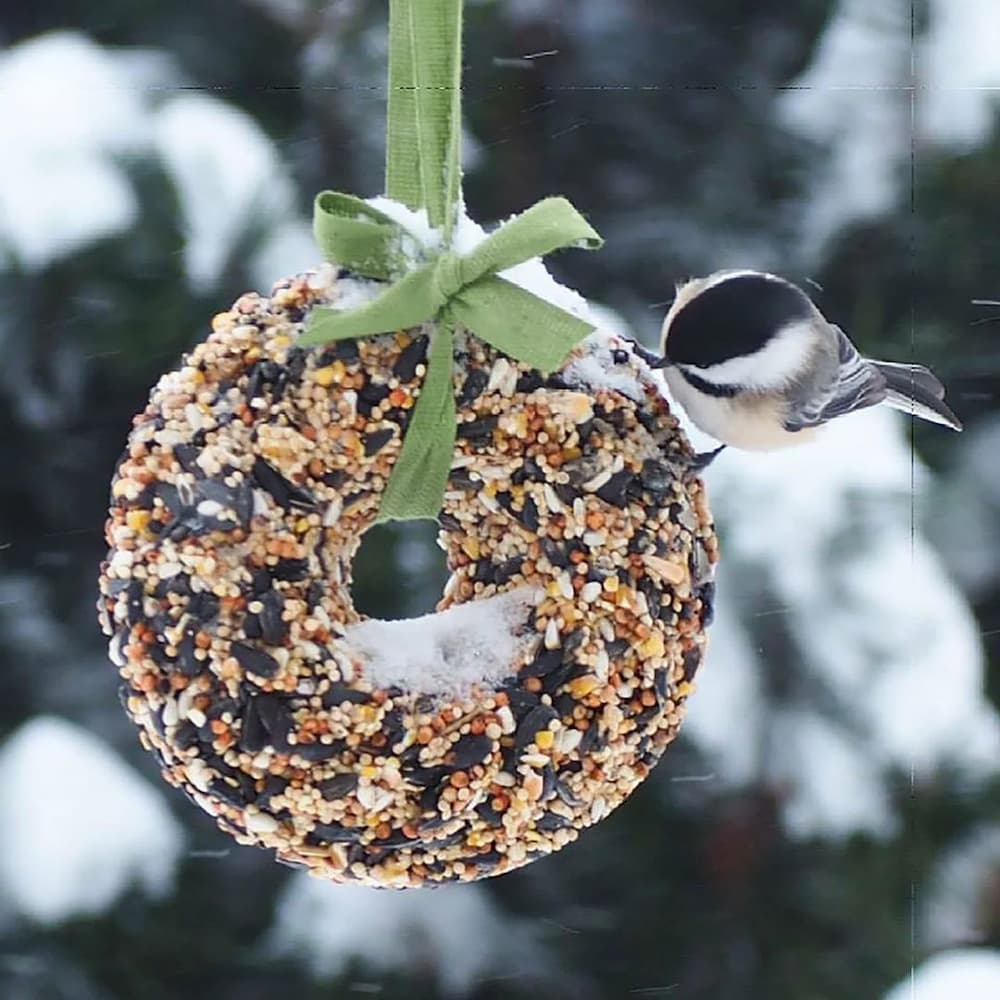 Bird Feeder Wreaths housewarming gift
