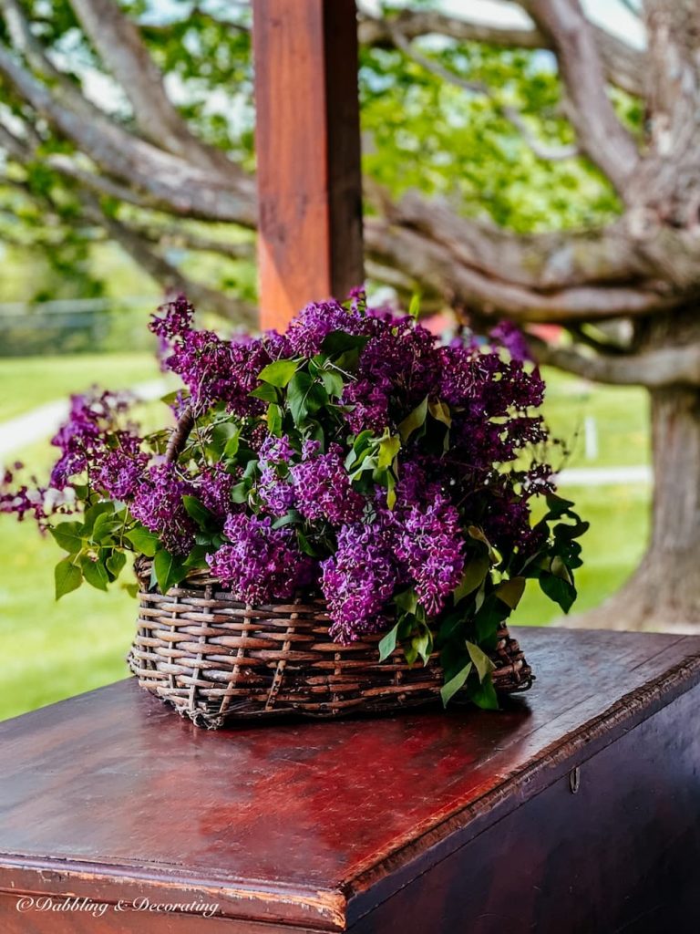 Basket of Bountiful Lilacs on porch.