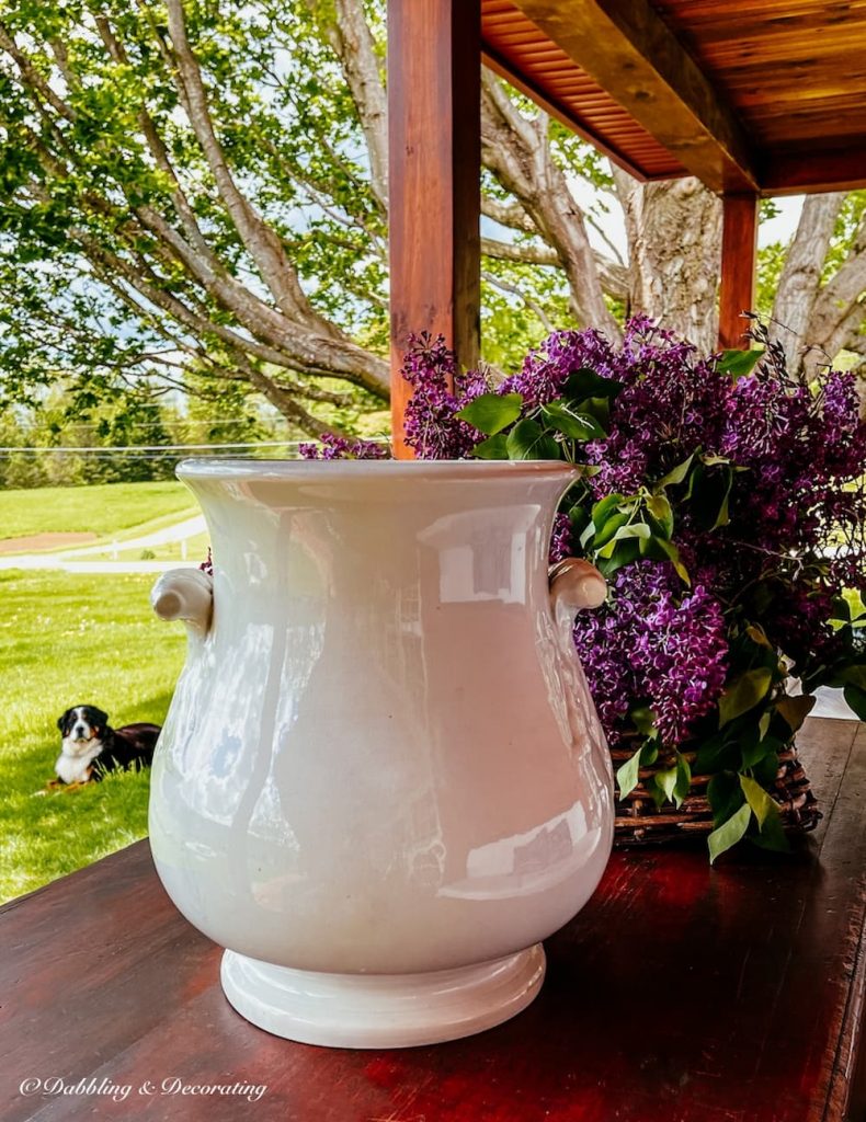 White Vintage Grub Pot and Lilacs on the Porch.