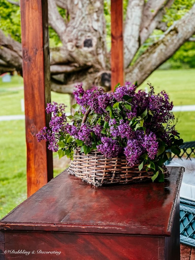 Bountiful Bouquets of Lilacs in a basket bouquet