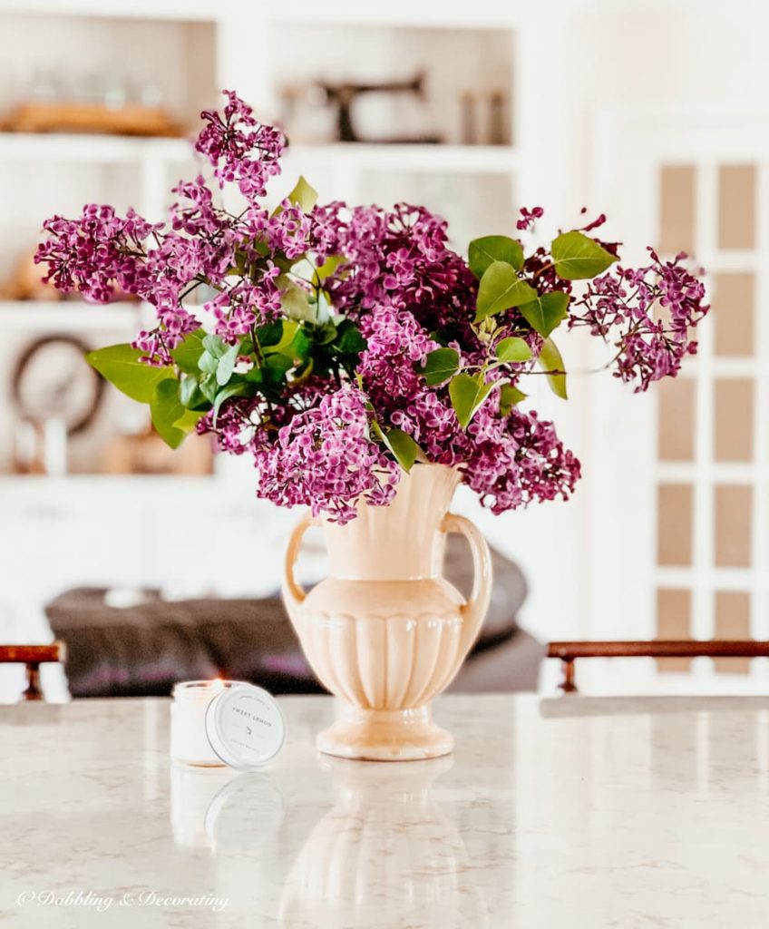 McCoy with Lilacs
