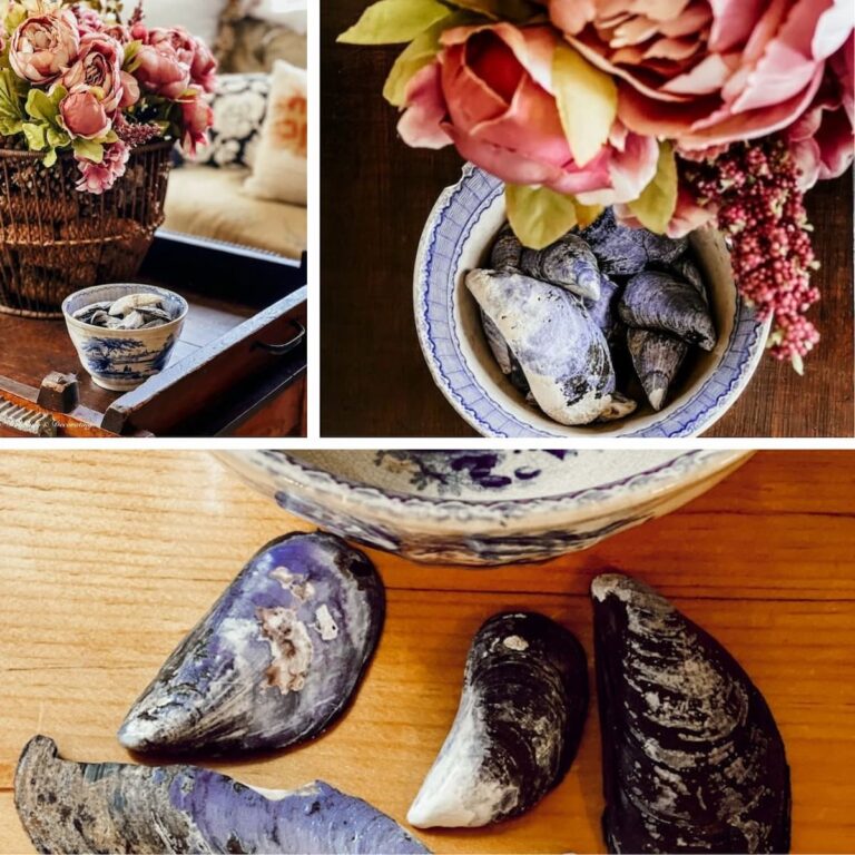 Coastal Grandmother—Approved Coffee Table Decor with Beachcombed Shells & a Vintage Bowl