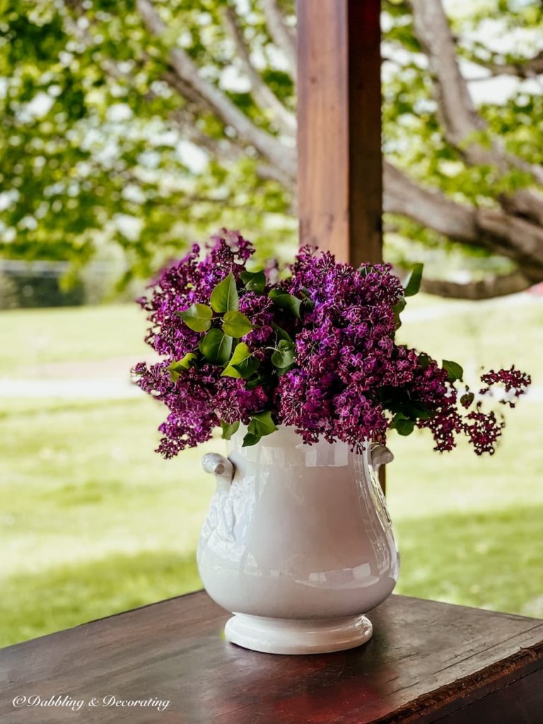 Bountiful Bouquets of Lilacs