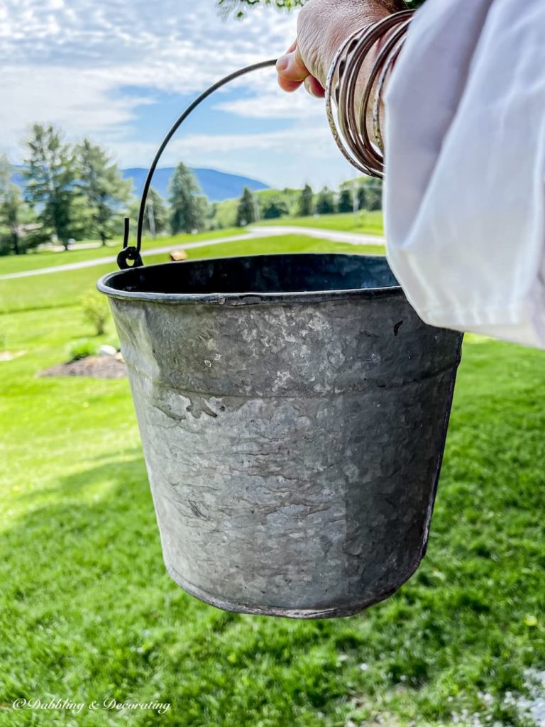 Old Galvanized flower Bucket