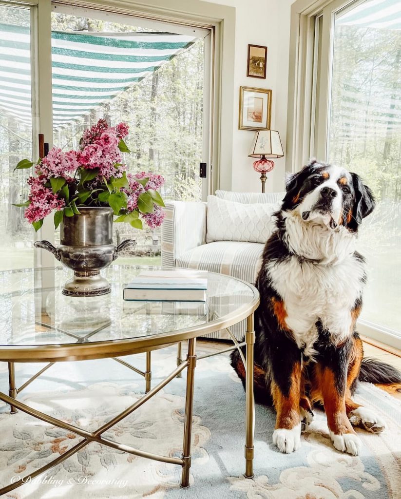 Sunroom in Maine with Sun Shade Sail