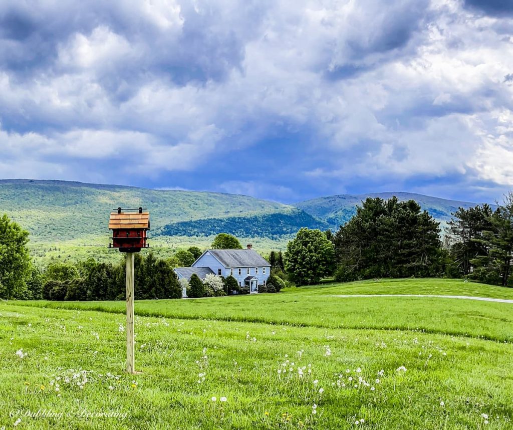 The Biggest Red Birdhouse and How to Easily Mount It