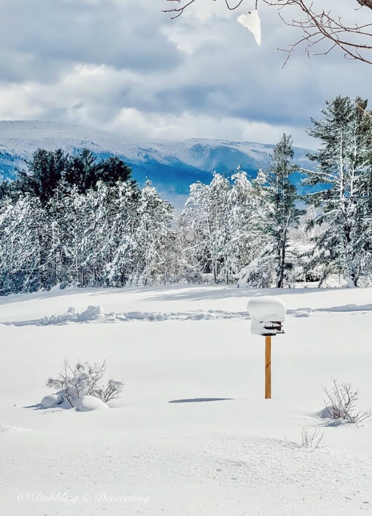 Snowy scene with snow covered Amish Birdhouse.