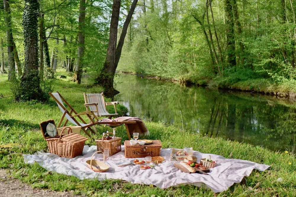 Gorgeous picnic set up a river in the woods.