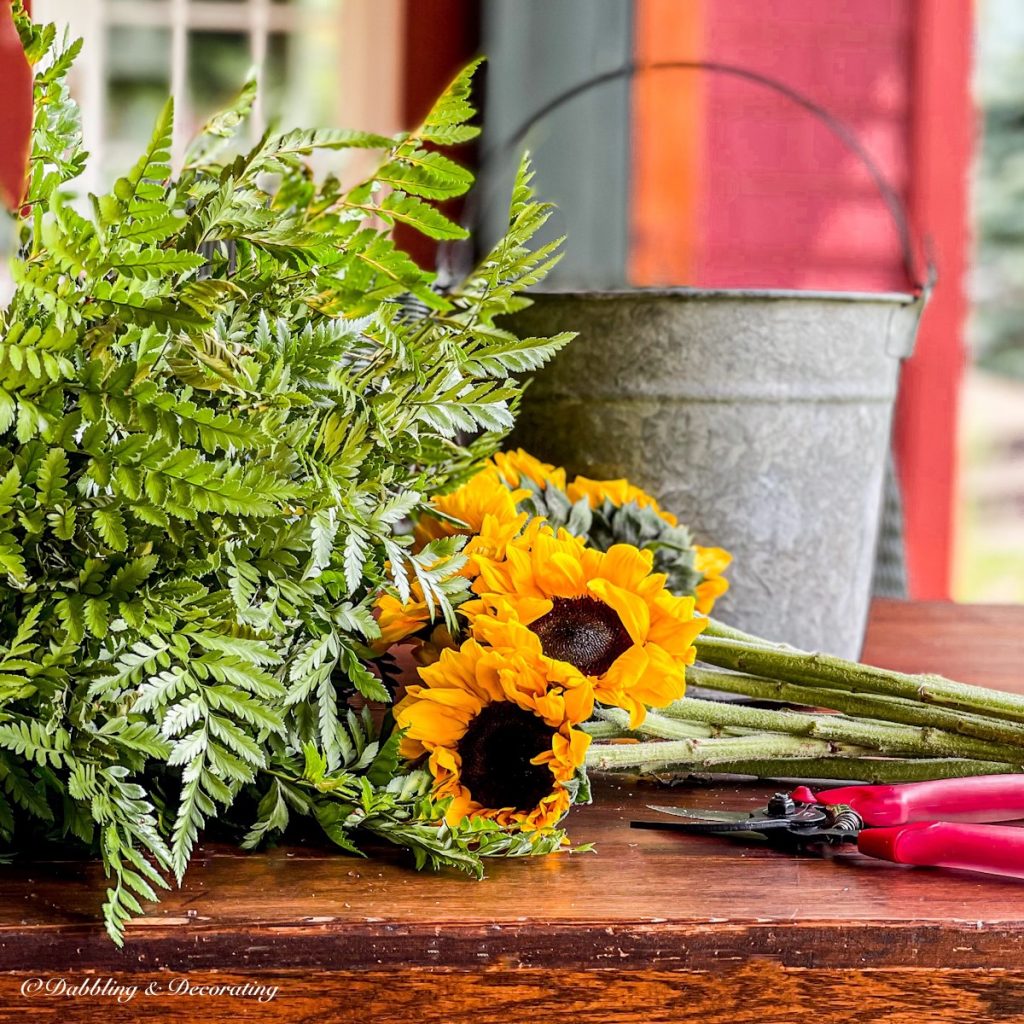 Sunflowers, ferns, and galvanized Bucket with clippers.