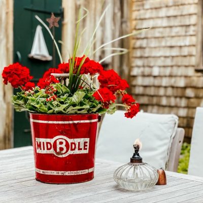 7 Old Galvanized Bucket Planter Ideas