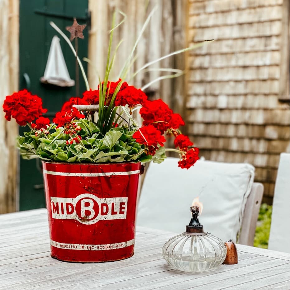 7 Old Galvanized Bucket Planter Ideas