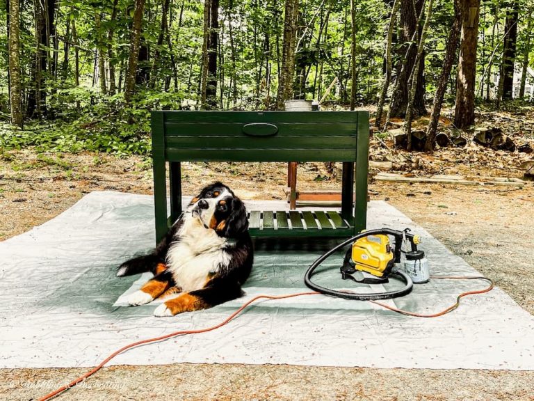 Essex Green Raised Garden Bed with Bernese Mountain Dog