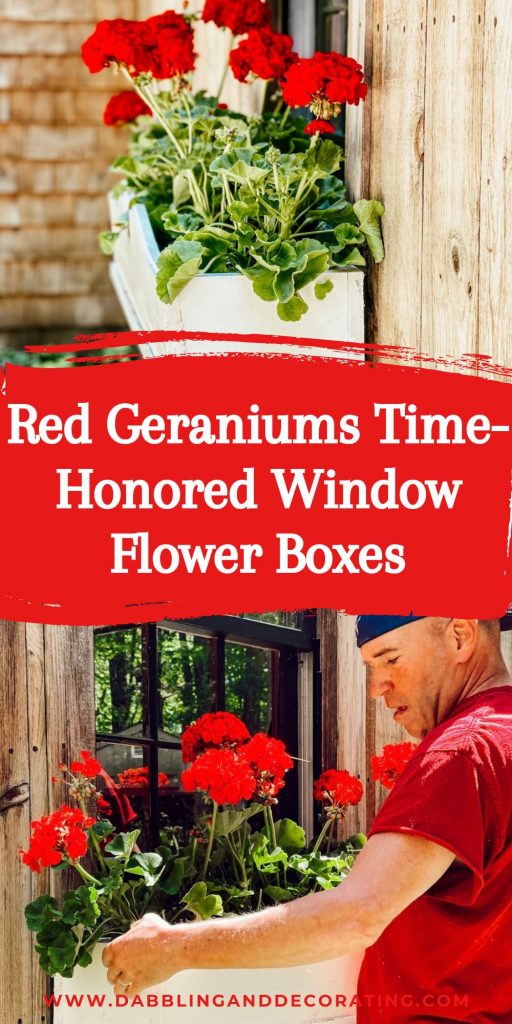 Red Geraniums Time-Honored Window Flower Boxes