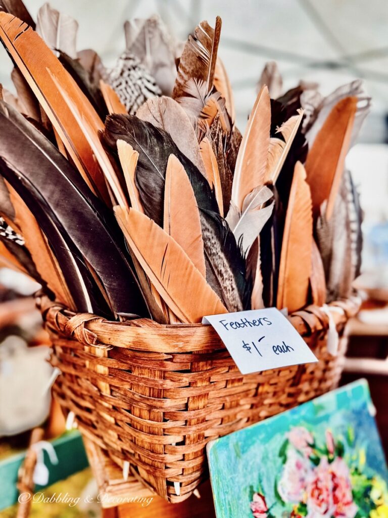 Feathers in a Basket