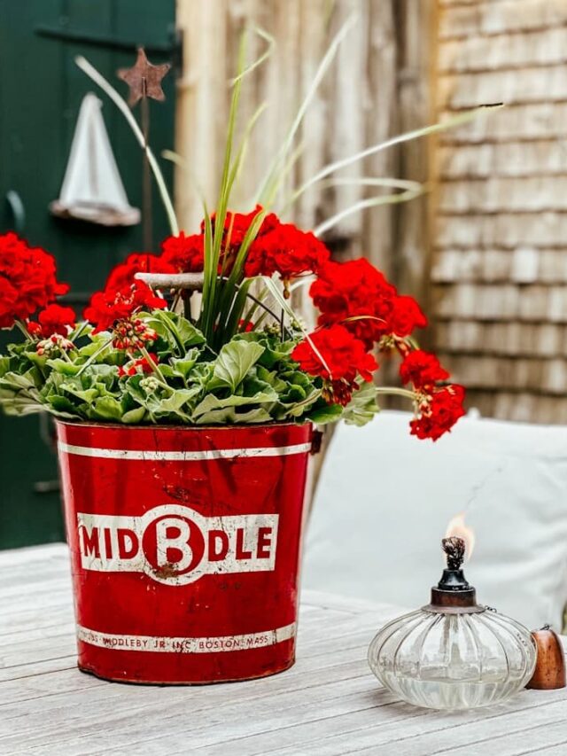 7+ Old Galvanized Bucket Planter Ideas Dabbling & Decorating