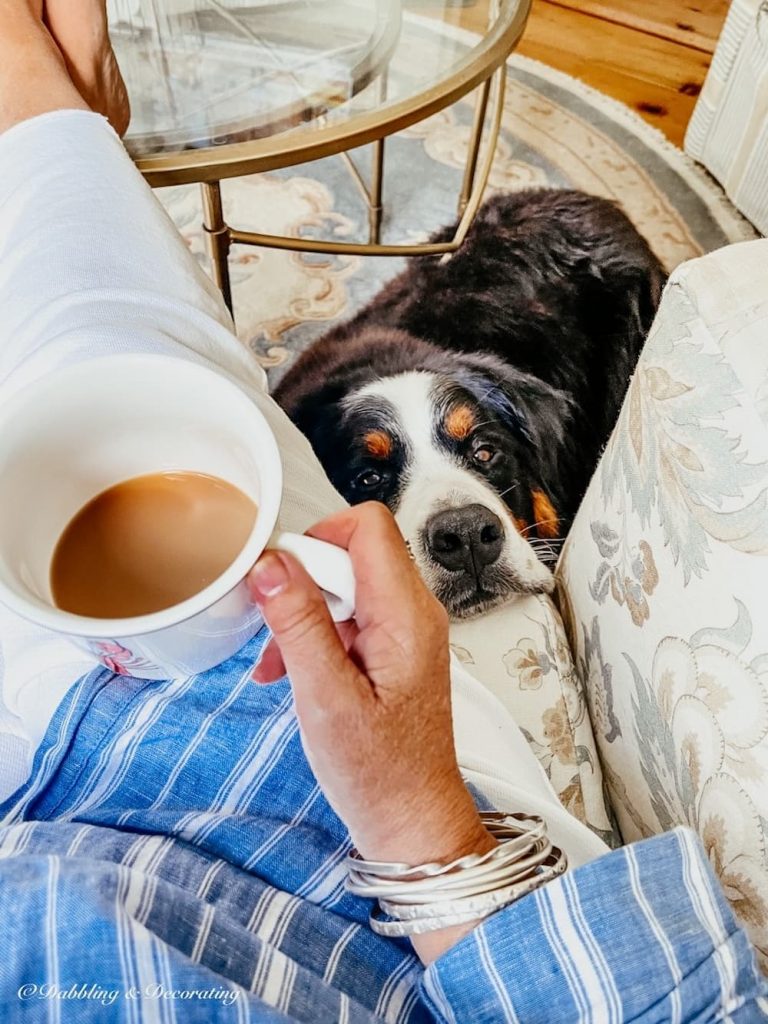 Dog and Coffee