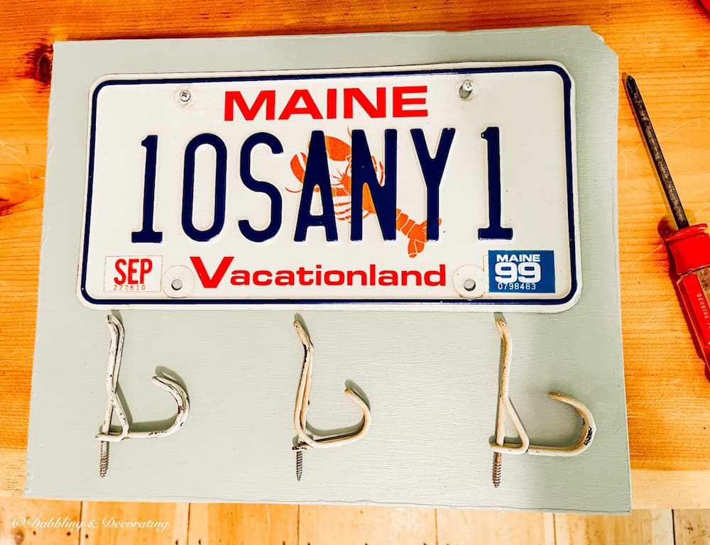 DIY License Plate Hat Rack and Wall Decor