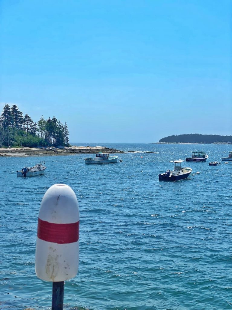 THE BEST LITTLE LOBSTER SHACK IN MAINE