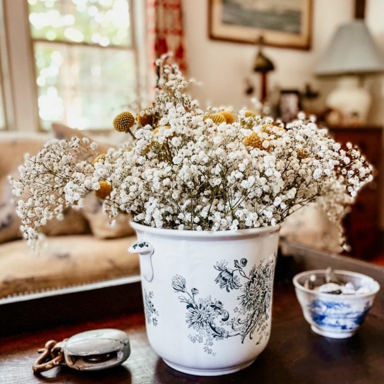 Summer's Interior Heirlooms and Musings