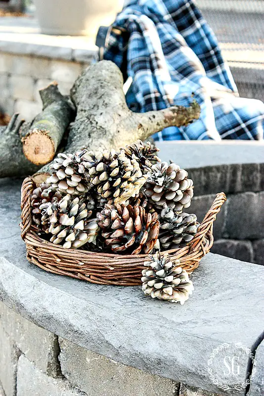 PINECONE FIRE STARTERS DIY