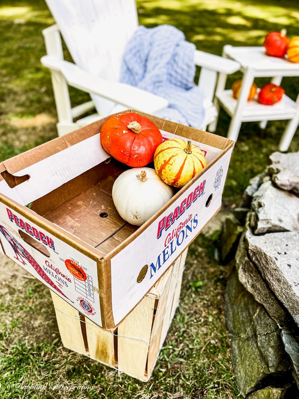 BOX OF PUMPKINS