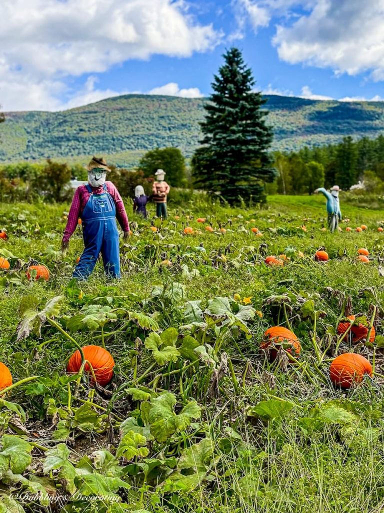 21 Outrageous Scarecrows