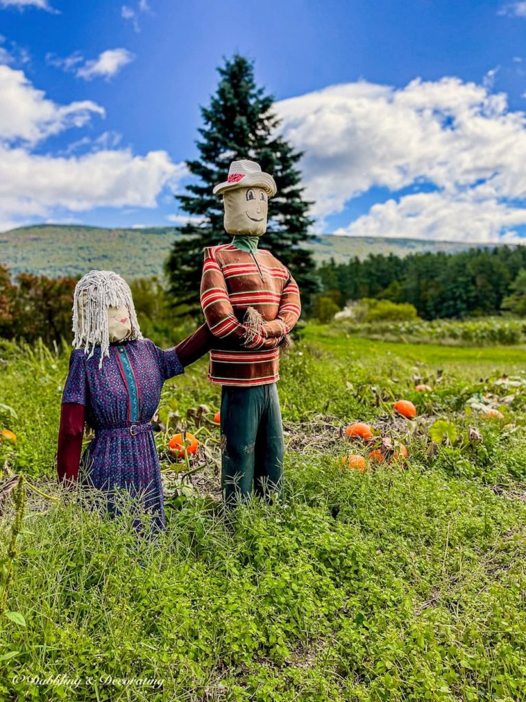 Husband and Wife Scarecrows