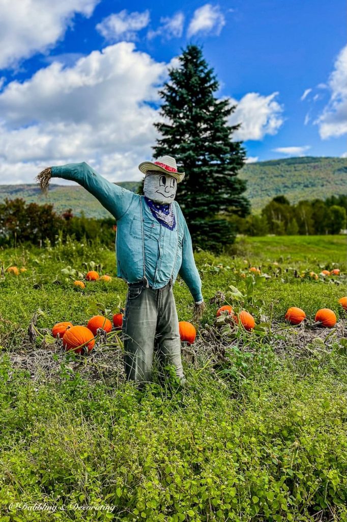 Mud season scarecrow