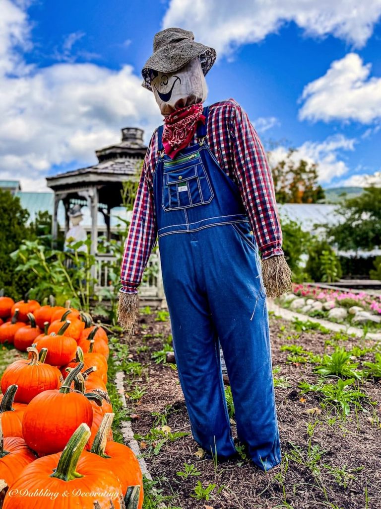 24 Best Outrageous Scarecrows, It's Fall in Vermont