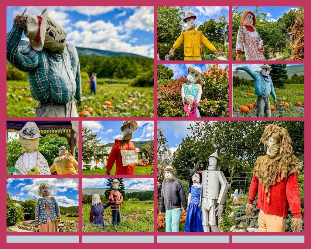 24 Best Outrageous Scarecrows, It's Fall in Vermont