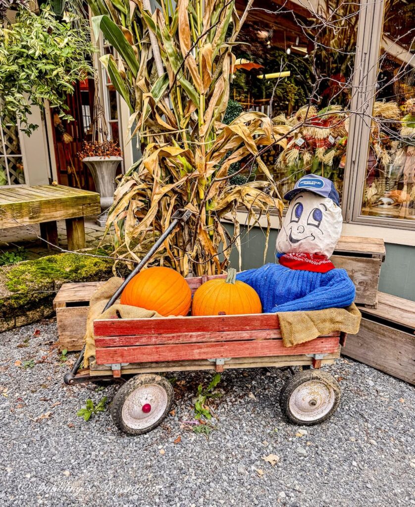 Little boy scarecrow in vintage red cart with pumpkins in outdoor fall decor.