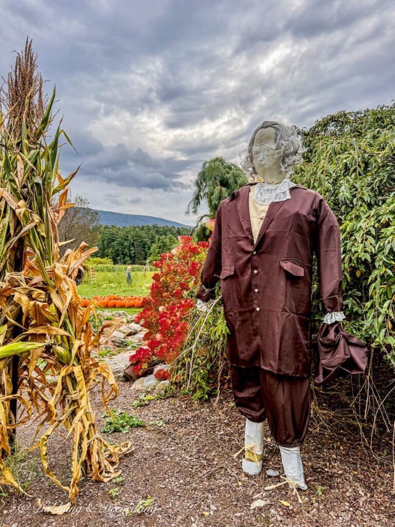 Benjamin Franklin dressed as a scarecrow in a Vermont field for fall outdoor decoration ideas.