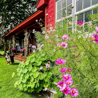 7 Ways to Add Autumn Spirit to Your Front Porch this Fall