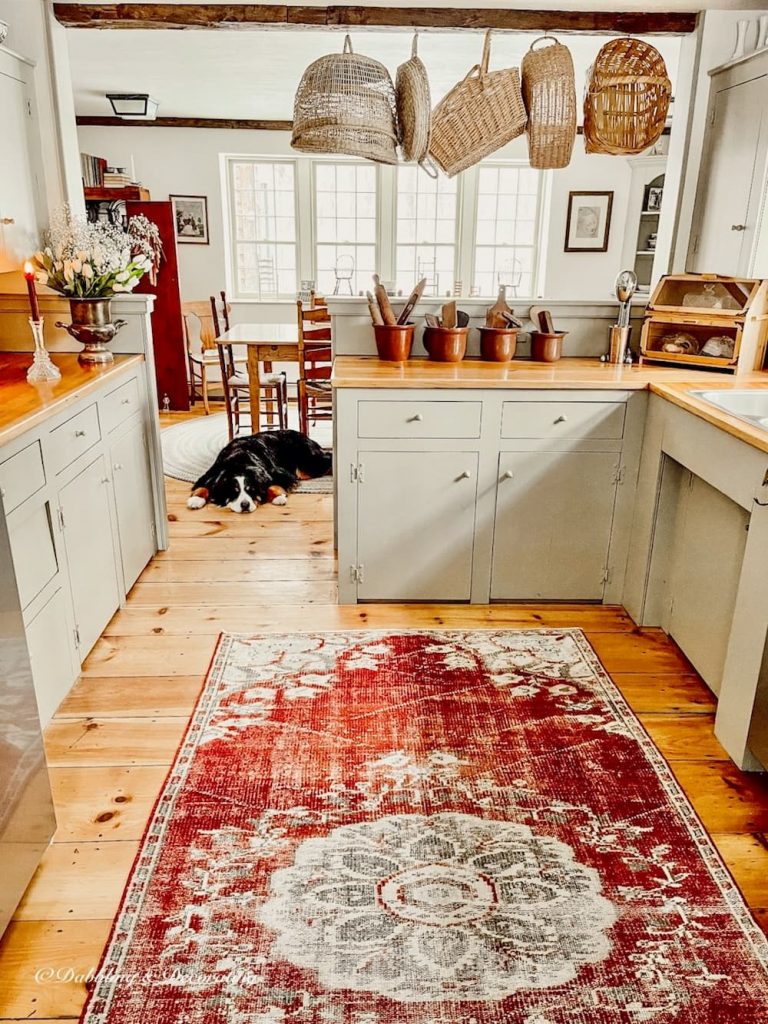 Country kitchen with red rug and Bernese Mountain Dog.