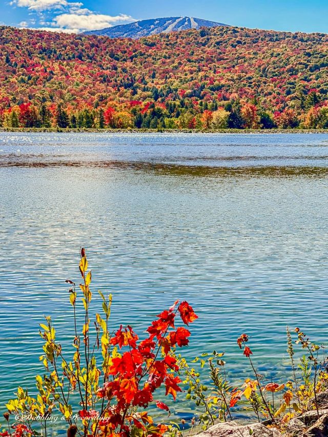 Vermont Fall Foliage Home Tour | Dabbling & Decorating