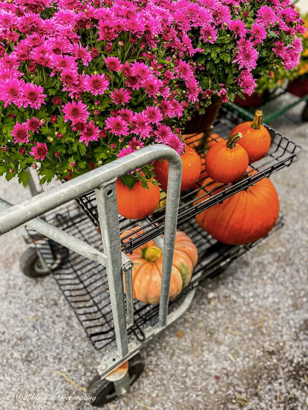 Carriage with Asters and Pumpkins