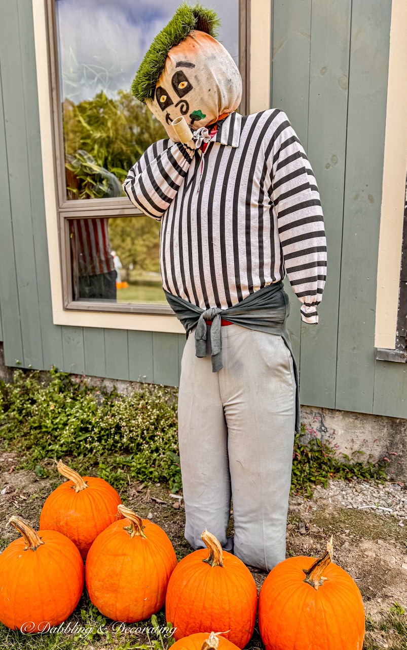 Funny scarecrow with beret, black and white striped shirt and corn pipe with pumpkins.