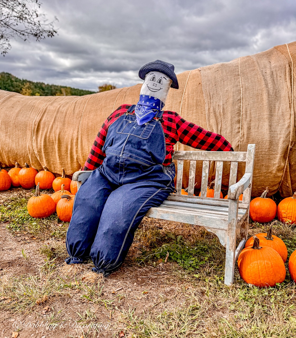 Large funny scarecrow ideas with overalls, flannel shirt and bandana sitting on pumpkin patch bench.