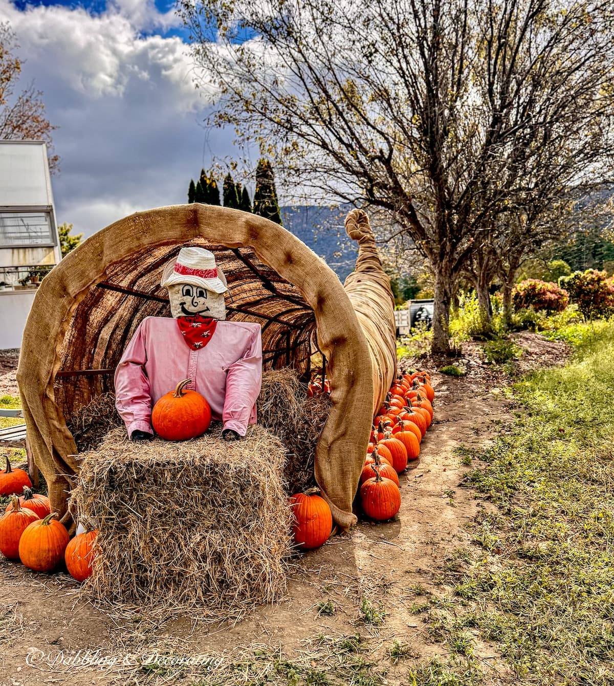 Scarecrow dressed in pink inside a large garden cornucopia in garden.