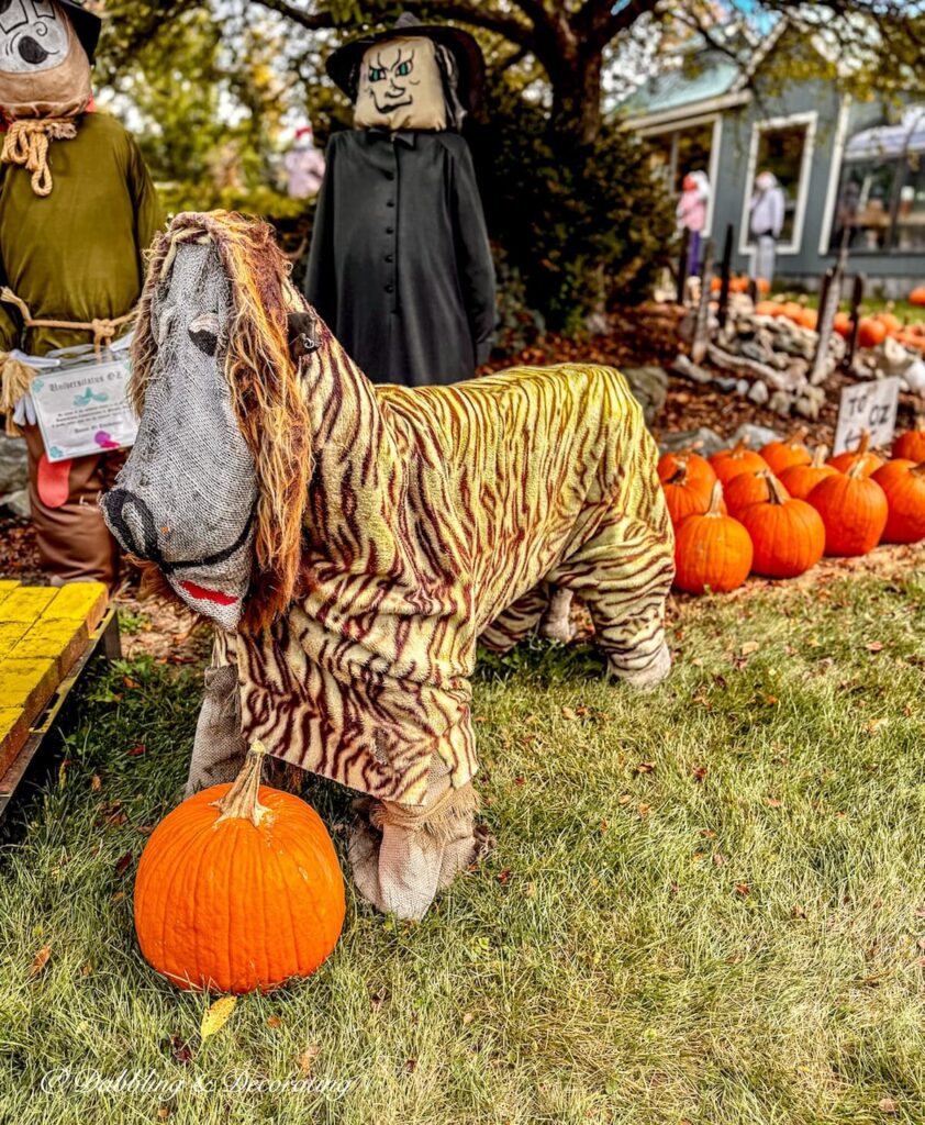 A funny scarecrow dressed up as a lion with a pumpkin.