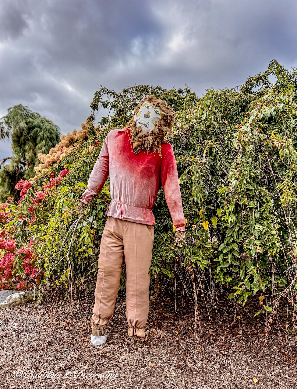 The lion from Wizard of Oz Scarecrow standing alone.