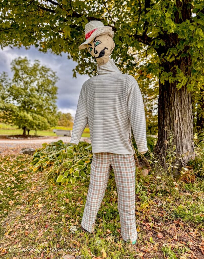 Funny scarecrow with turtleneck, slacks and hat, slick dude!