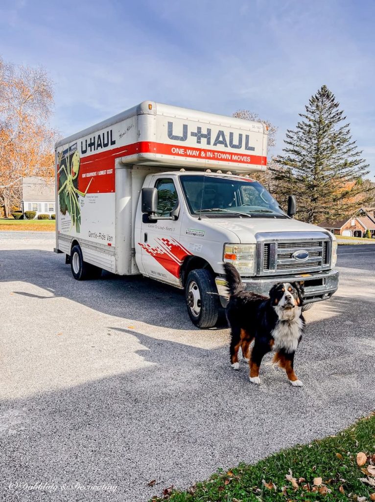 UHaul and Bernese Mountain Dog in Driveway