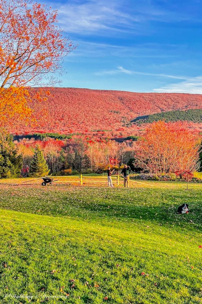 Gorgeous fall view in the mountains next to split rail fencing with dog and men.