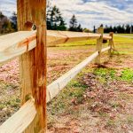 3 Reasons Why Split Rail Fencing is Always a Good Idea