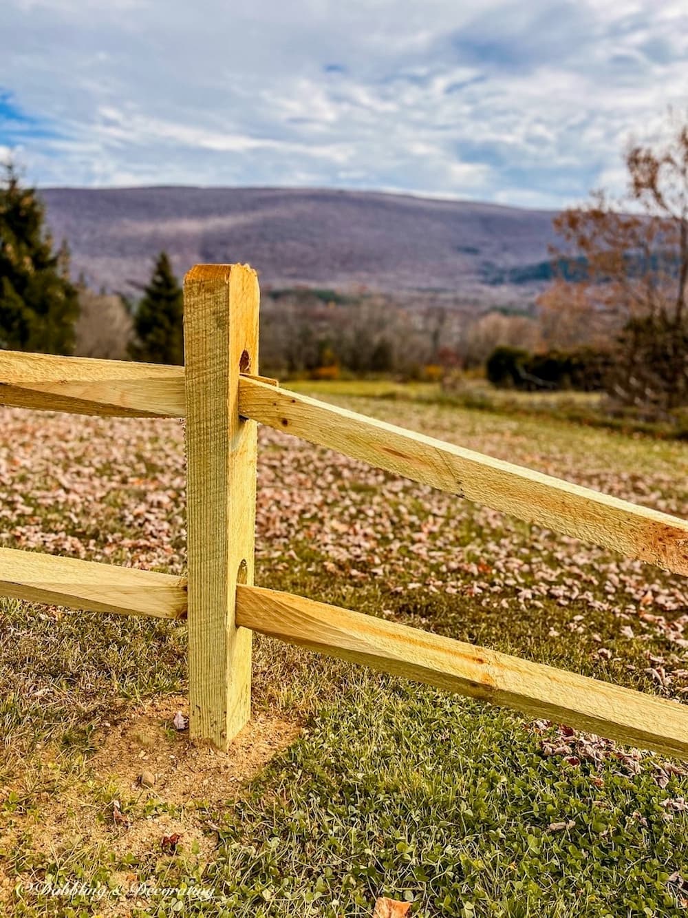 close up of split rail fencing