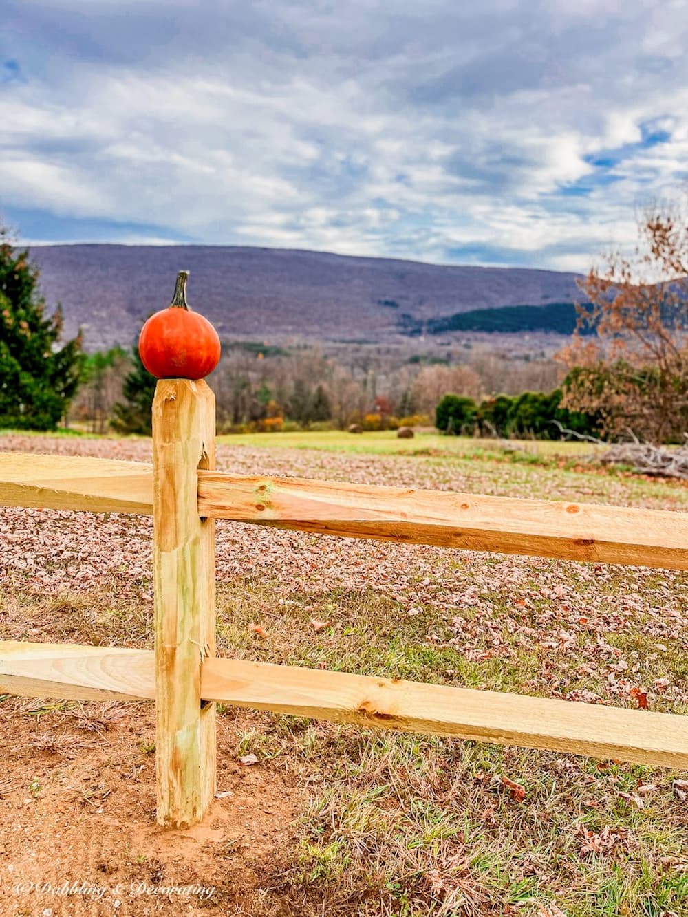 Pumpkin on top of split rail fence in mountains.